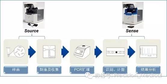 基因突變檢測技術 原理、應用與未來展望